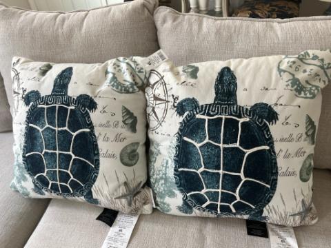 Turtle pillows