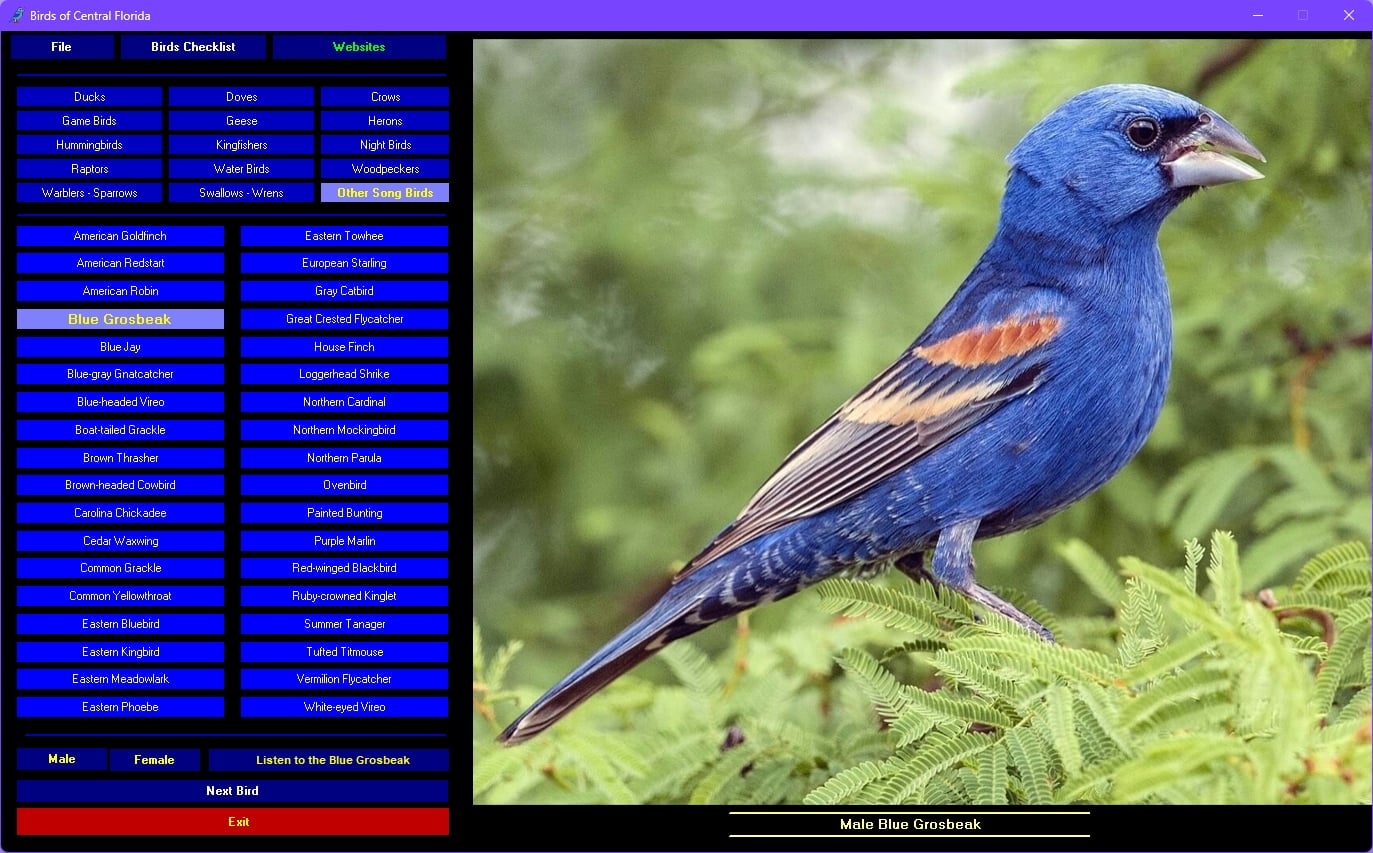 Birds of Central Florida 3