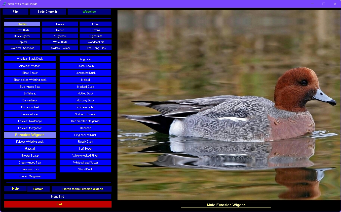 Birds of Central Florida 2