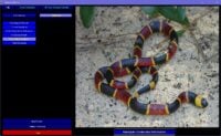 Snakes of Florida 2