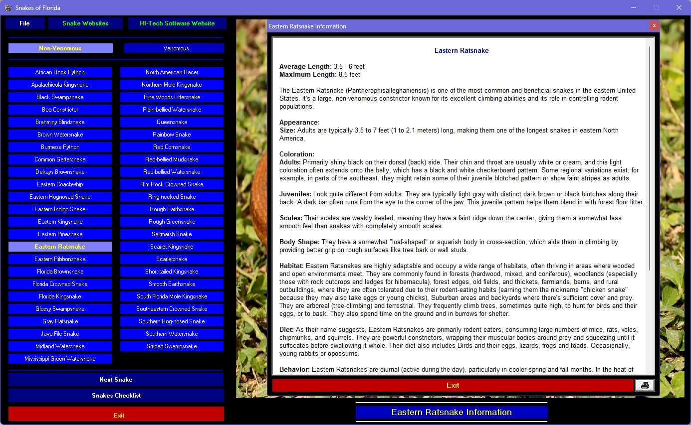 Snakes of Florida 5
