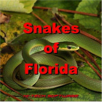 Florida Fresh Water Sport Fish 1
