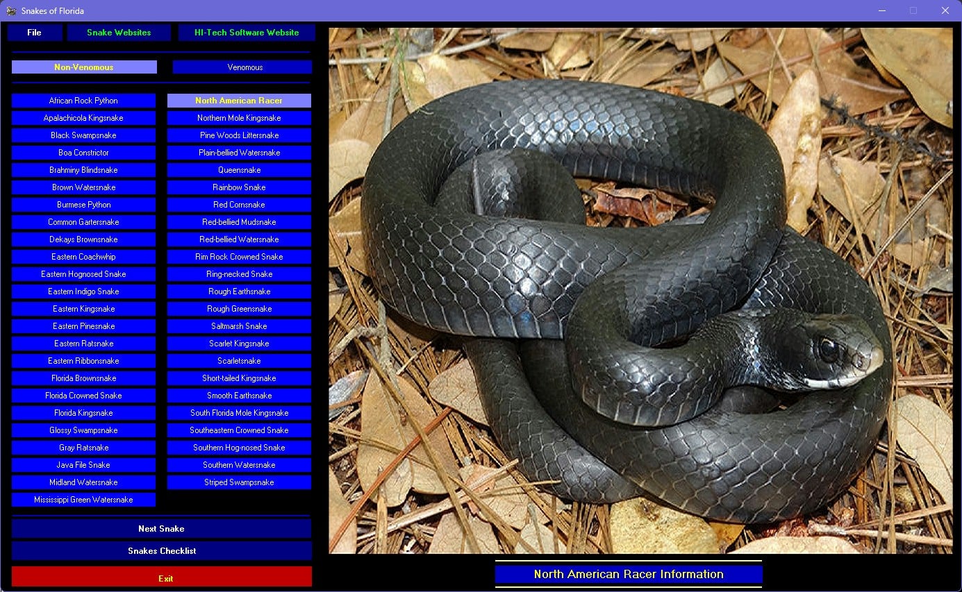 Snakes of Florida 4