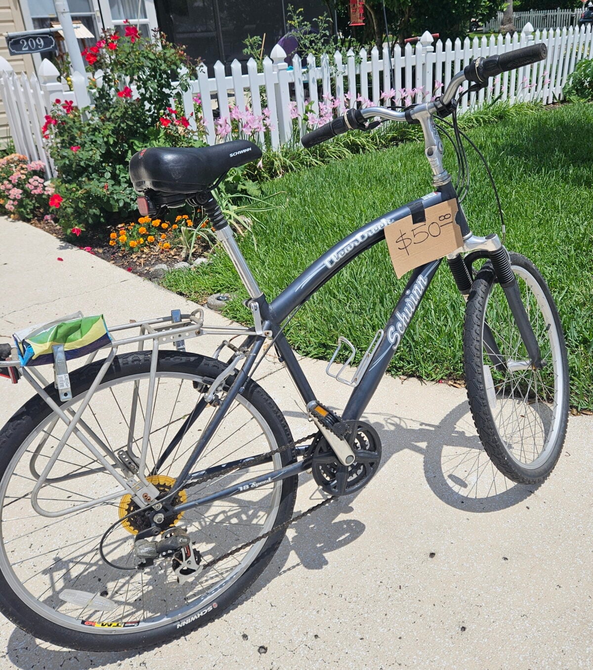Schwinn Bike